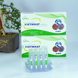 Men vi khuẩn sống Việt Nhật