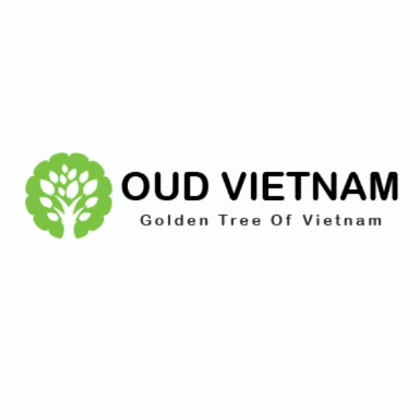 Oud Vietnam
